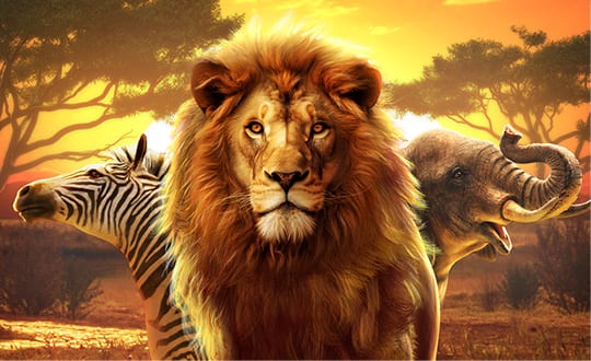 Safari Wilds Demo Grátis | Caça-Níquel Grátis Sem Depósito